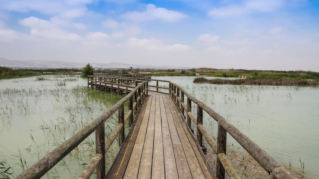 parque naturale el hondo