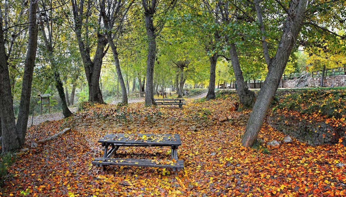 area recreativa moli ombria banyeres