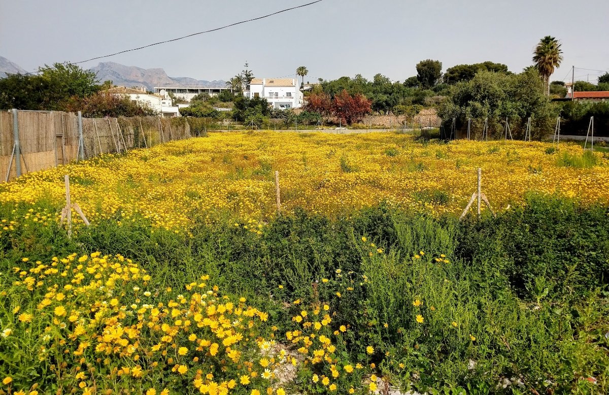 altea y sierra de bernia