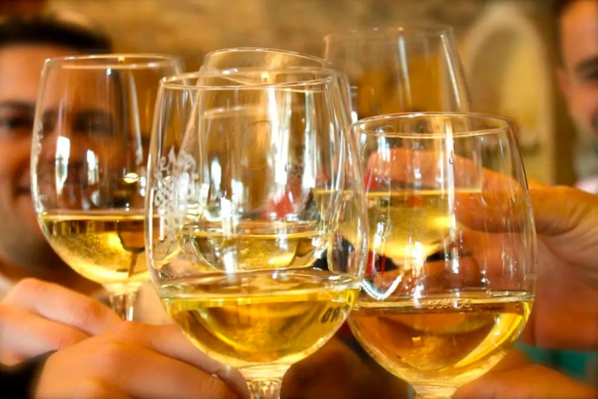 Ruta del Vino de Alicante 2