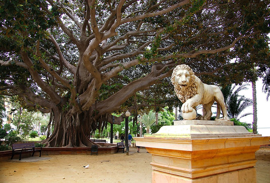 parque canalejas alicante
