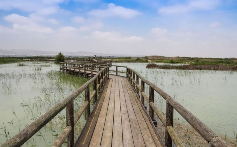 parques naturales alicante 1200
