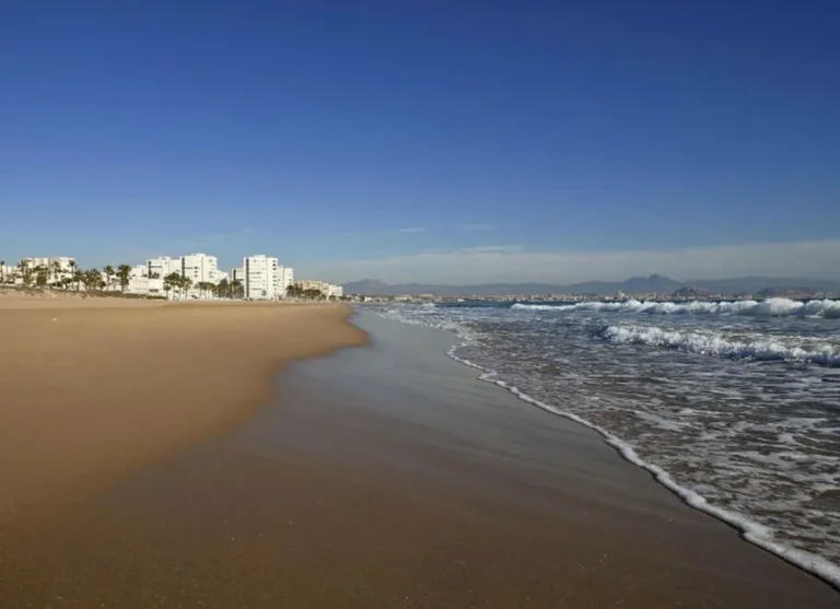 Playa El Saladar Urbanova