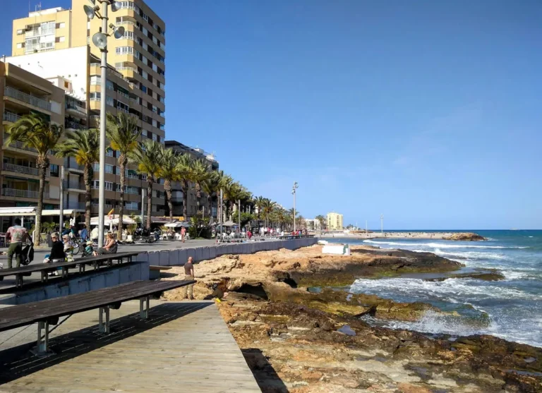 vivir en torrevieja nucleo