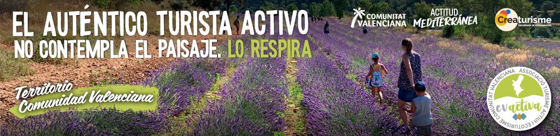 CV ACTIVA LAVANDA 1150x280 1
