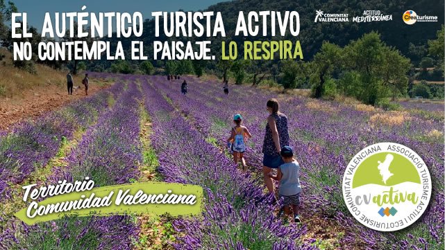 CV ACTIVA Lavanda 640x360 1