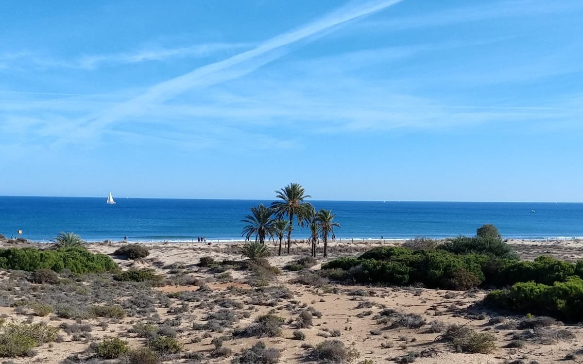 Playa del Carabassi en Elche