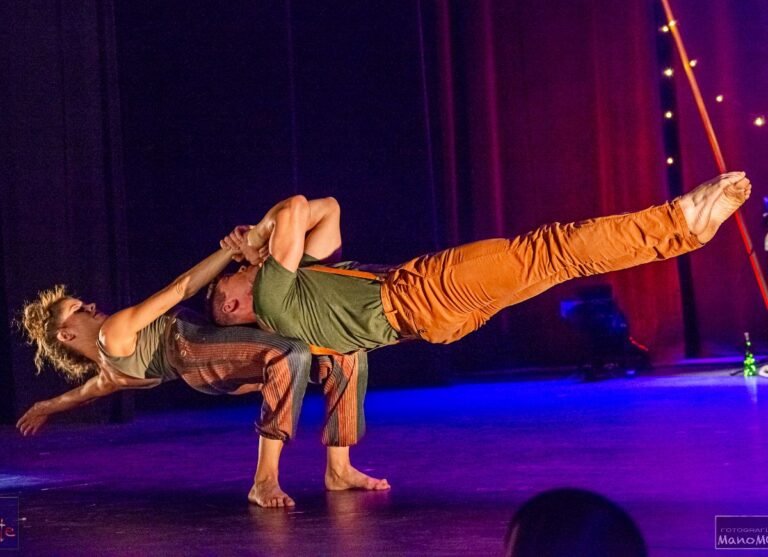 Gran Gala de Circo Circarte 2026