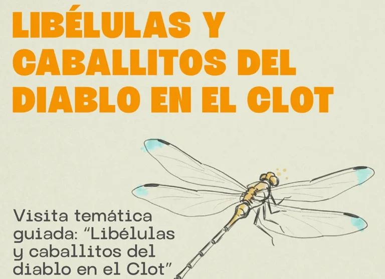 Visita temática Clot de Galvany