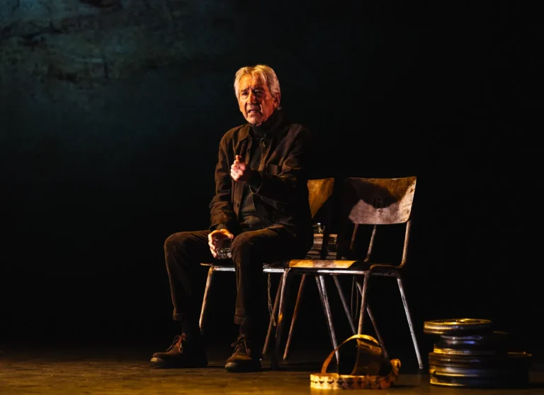 El hijo de la cómica Teatro Principal Alicante