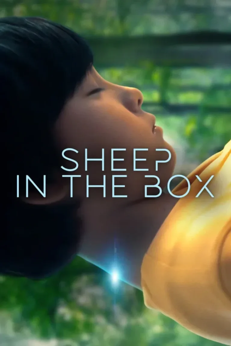 kareku sheep in the box