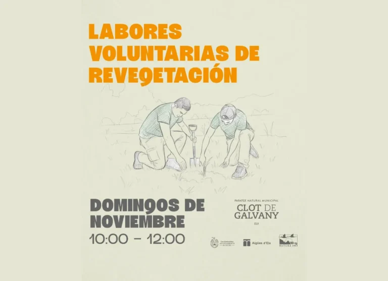 Labores voluntarias de revegetación del Clot de Galvany Labores voluntarias revegetación Clot de Galvany