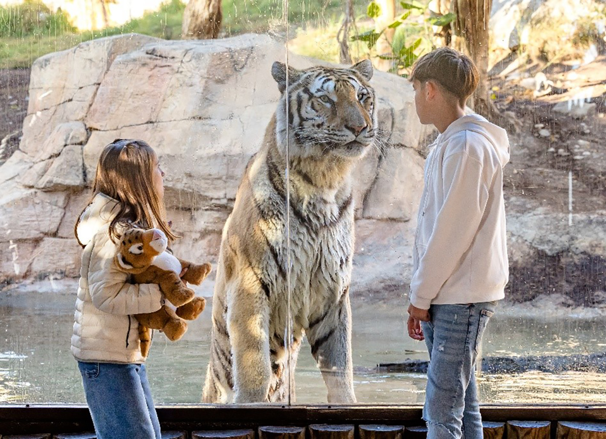 Actividades Terra Natura Benidorm
