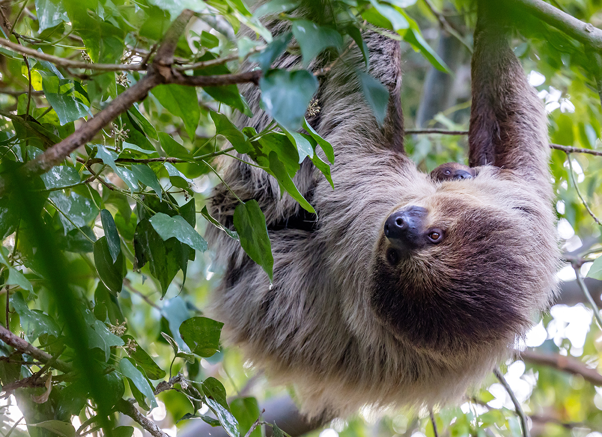 Terra Natura Benidorm
