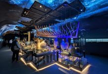 Exposición Dénia Arqueología y Museo MARQ