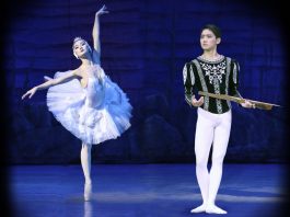 El lago de los cisnes Teatro Principal Alicante