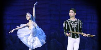 El lago de los cisnes Teatro Principal Alicante