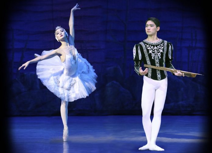 El lago de los cisnes Teatro Principal Alicante