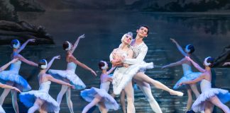 El lago de los cisnes Teatro Principal Alicante