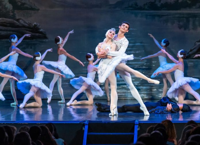 El lago de los cisnes Teatro Principal Alicante