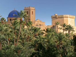Elche, Patrimonio de la Humanidad Elche Patrimonio de la Humanidad