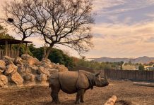 Sunset Experience Terra Natura Benidorm