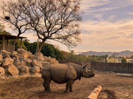 ‘Sunset Experience’, visitas guiadas al atardecer en Terra Natura Benidorm Sunset Experience Terra Natura Benidorm