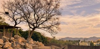 Sunset Experience Terra Natura Benidorm