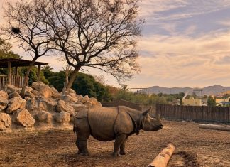 Sunset Experience Terra Natura Benidorm