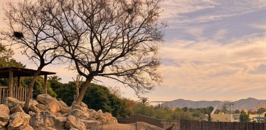 ‘Sunset Experience’, visitas guiadas al atardecer en Terra Natura Benidorm Sunset Experience Terra Natura Benidorm