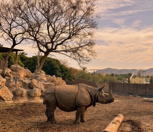 Sunset Experience Terra Natura Benidorm