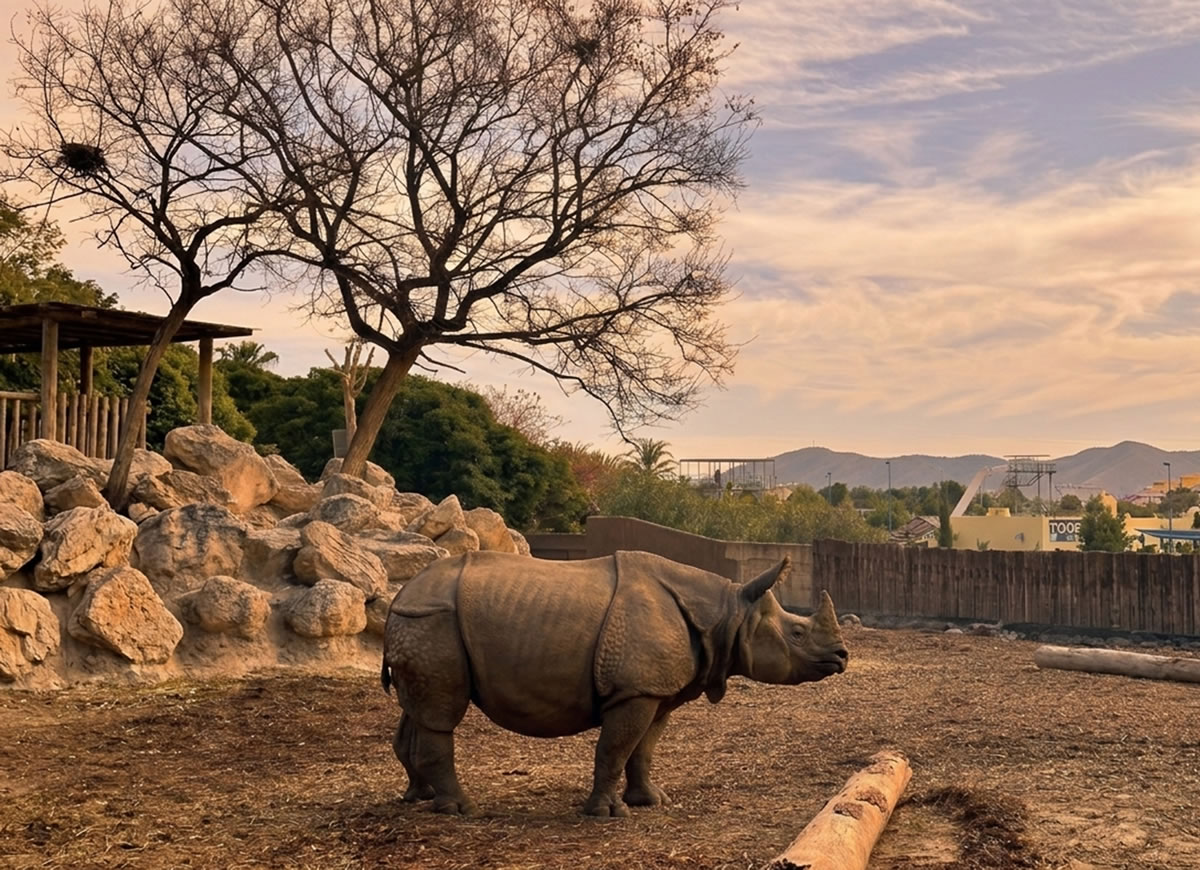 Sunset Experience Terra Natura Benidorm