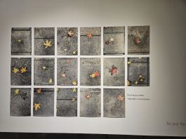 Exposición Agua Escrita Lonja del Pescado