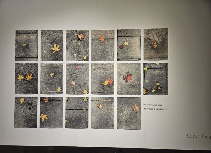Exposición Agua Escrita Lonja del Pescado