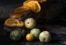 Exposición Fruto de la Luz MUA