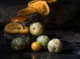 Exposición Fruto de la Luz MUA