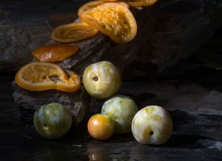 Exposición Fruto de la Luz MUA