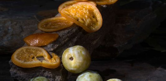 Exposición Fruto de la Luz MUA