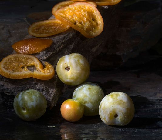 Exposición ‘Fruto de la luz’ en el MUA Exposición Fruto de la Luz MUA