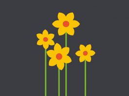 Exposición The Garden of the (In)Visible MUA