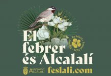 Feslalí Alcalalí en flor 2024