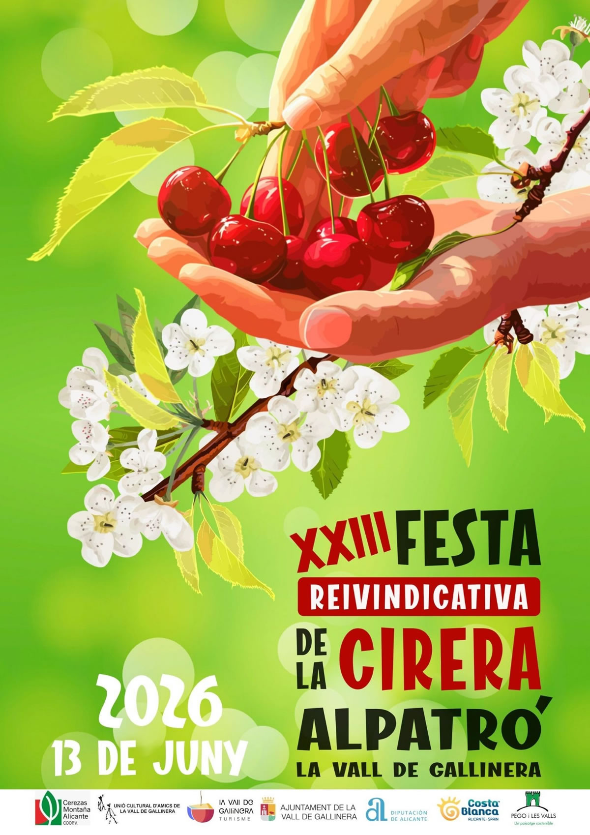Festa de la Cirera 2026 Vall de la Gallinera