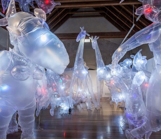 Museos de Alicante: un recorrido cultural Exposición Jardín Autómata en la Lonja del Pescado Alicante