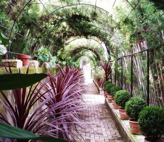 Jardines históricos de la provincia de Alicante Jardines históricos de la provincia de Alicante