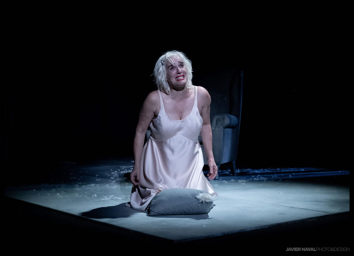 La mujer rota Teatro Principal Alicante