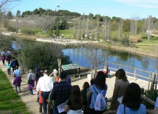 ‘Senderos de Otoño’: itinerarios ambientales gratuitos por Alicante Senderos de Otoño 2025