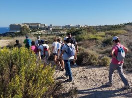 Senderos de Primavera Alicante 2026