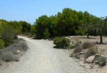Senderos de Primavera 2022 en Alicante