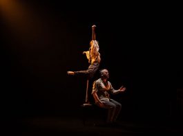 Sostenidor Teatre Arniches Abril en Danza