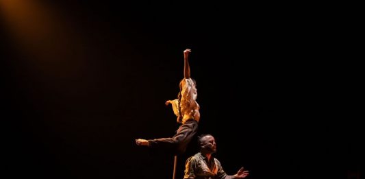 Sostenidor Teatre Arniches Abril en Danza